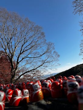 勝尾寺に投稿された画像（2025/12/13）