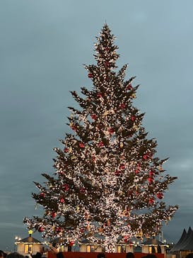 Christmas Market in 横浜赤レンガ倉庫 2025に投稿された画像（2025/12/13）