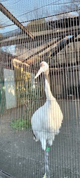 恩賜上野動物園に投稿された画像（2025/12/13）