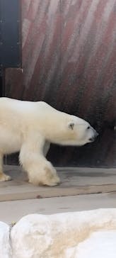 恩賜上野動物園に投稿された画像（2025/12/13）