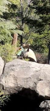 恩賜上野動物園に投稿された画像（2025/12/13）