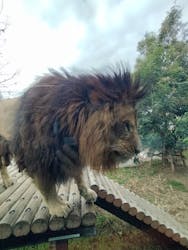 東京動物園協会_多摩動物公園に投稿された画像（2025/12/13）