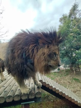 東京動物園協会_多摩動物公園に投稿された画像（2025/12/13）