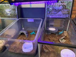 いきもの探検隊上尾に投稿された画像（2025/12/13）