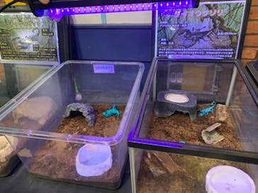 いきもの探検隊上尾に投稿された画像（2025/12/13）