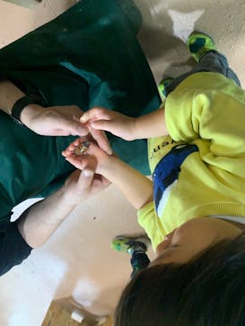 いきもの探検隊上尾に投稿された画像（2025/12/13）