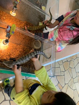 いきもの探検隊上尾に投稿された画像（2025/12/13）