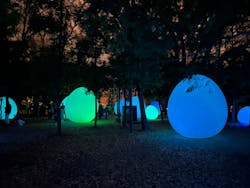 チームラボ ボタニカルガーデン 大阪に投稿された画像（2025/12/13）