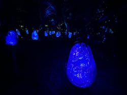 チームラボ ボタニカルガーデン 大阪に投稿された画像（2025/12/13）