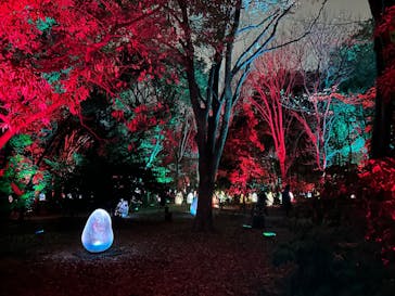 チームラボ ボタニカルガーデン 大阪に投稿された画像（2025/12/13）