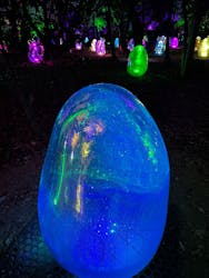 チームラボ ボタニカルガーデン 大阪に投稿された画像（2025/12/13）