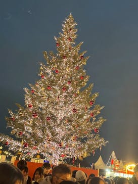 Christmas Market in 横浜赤レンガ倉庫 2025に投稿された画像（2025/12/13）