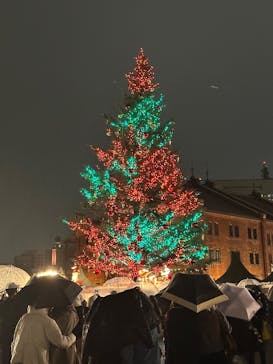Christmas Market in 横浜赤レンガ倉庫 2025に投稿された画像（2025/12/13）