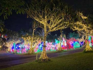 美らヤシパークオキナワ・東南植物楽園に投稿された画像（2025/12/13）