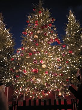 Christmas Market in 横浜赤レンガ倉庫 2025に投稿された画像（2025/12/13）