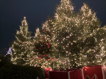 Christmas Market in 横浜赤レンガ倉庫 2025に投稿された画像（2025/12/13）