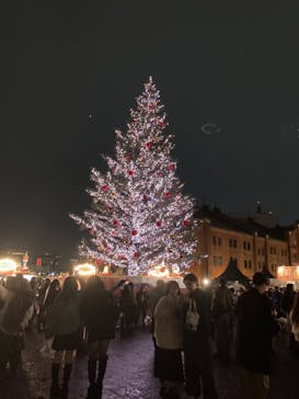Christmas Market in 横浜赤レンガ倉庫 2025に投稿された画像（2025/12/13）