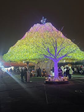 東京メガイルミに投稿された画像（2025/12/13）