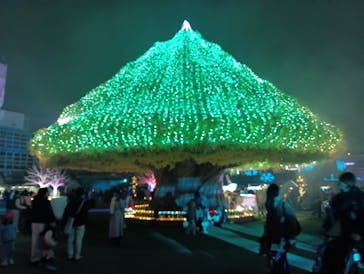 東京メガイルミに投稿された画像（2025/12/13）