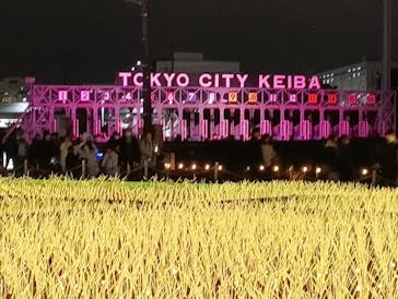 東京メガイルミに投稿された画像（2025/12/13）