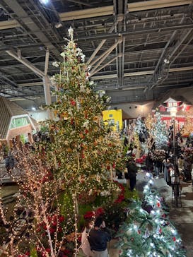 安城産業文化公園デンパークに投稿された画像（2025/12/13）