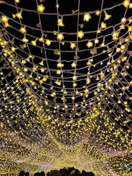 東京メガイルミに投稿された画像（2025/12/13）