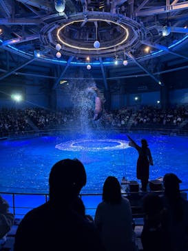 マクセル アクアパーク品川に投稿された画像（2025/12/13）