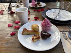 いばらきフラワーパークに投稿された画像（2025/12/13）