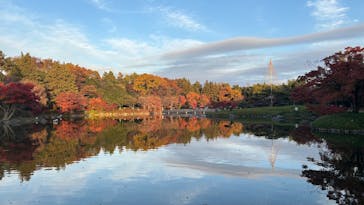 国営昭和記念公園 秋の夜散歩に投稿された画像（2025/12/13）