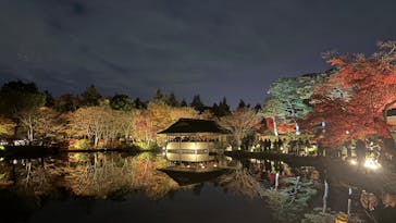 国営昭和記念公園 秋の夜散歩に投稿された画像（2025/12/13）