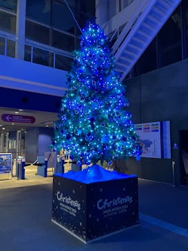 アクアワールド茨城県大洗水族館に投稿された画像（2025/12/13）