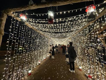 Christmas Market in 横浜赤レンガ倉庫 2025に投稿された画像（2025/12/13）