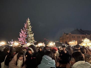 Christmas Market in 横浜赤レンガ倉庫 2025に投稿された画像（2025/12/13）