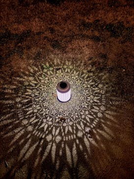 世羅高原農場に投稿された画像（2025/12/13）