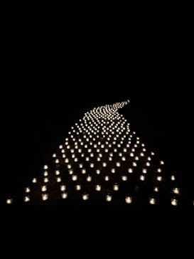 世羅高原農場に投稿された画像（2025/12/13）