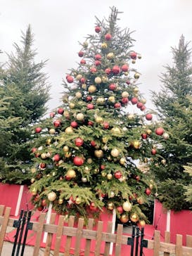 Christmas Market in 横浜赤レンガ倉庫 2025に投稿された画像（2025/12/13）