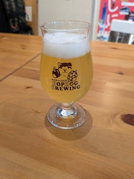ホップドッグブルーイング醸造所に投稿された画像（2025/12/13）
