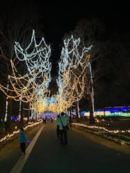 とっとり花回廊に投稿された画像（2025/12/14）