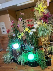 とっとり花回廊に投稿された画像（2025/12/14）