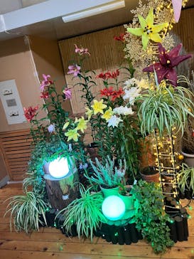 とっとり花回廊に投稿された画像（2025/12/14）