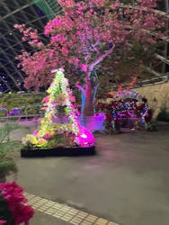 とっとり花回廊に投稿された画像（2025/12/14）