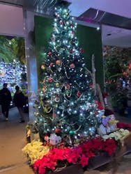 とっとり花回廊に投稿された画像（2025/12/14）