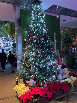 とっとり花回廊に投稿された画像（2025/12/14）