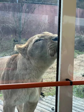 多摩動物公園に投稿された画像（2025/12/14）