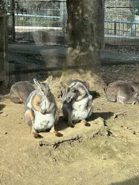 多摩動物公園に投稿された画像（2025/12/14）