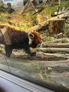 多摩動物公園に投稿された画像（2025/12/14）