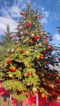 Christmas Market in 横浜赤レンガ倉庫 2025に投稿された画像（2025/12/14）