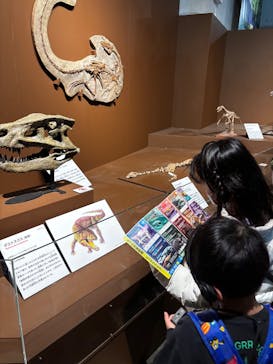 特別展「大絶滅展―生命史のビッグファイブ」に投稿された画像（2025/12/14）