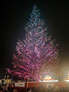 Christmas Market in 横浜赤レンガ倉庫 2025に投稿された画像（2025/12/14）