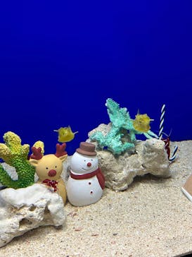 サンシャイン水族館に投稿された画像（2025/12/14）